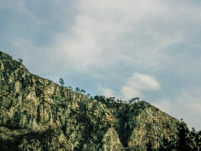 Pensiunea La Dolce Vita